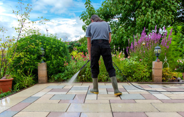 Best Pre-Holiday Cleaning  in Fallsburg, NY